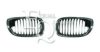 BMW 51137064316 Radiator Grille